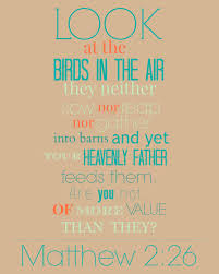 Look At The Birds Of The Air They Neither Sow Nor Reap Pin On Truth Will Set Us Free