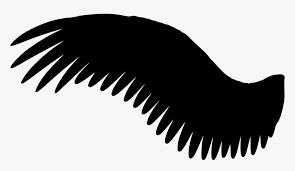 We did not find results for: Wing Silhouette Fly Black Angel Wings Png Transparent Png Kindpng