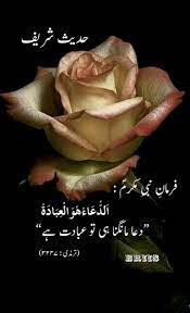 Hadith Urdu Beautiful Roses Beautiful Flowers Pretty Flowers