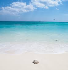 Jika sulit untuk menggambar sketsanya, tinggal tiru saja agar tidak ribet. 5 Pantai Cantik Yang Menjadi Surga Wisata Di Pulau Semau