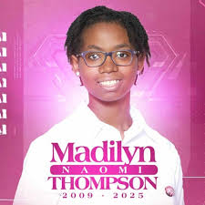 TERESA JOHNSON Book by Print Works at The Huyler Group