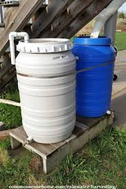Rain Barrels Diy Cheap Decorative Options Plus Care Tips Rain Barrels Diy Rainwater Harvesting Rain Barrel