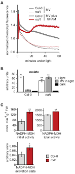 We did not find results for: Arabidopsis Rcd1 Coordinates Chloroplast And Mitochondrial Functions Through Interaction With Anac Transcription Factors Elife