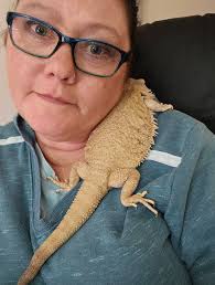 Loss of a beloved bearded dragon, Mooshie