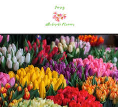 Welcome to metropolitan wholesale, your complete wholesale flower and indoor plant solution. Jersey Wholesale Flowers Home Facebook