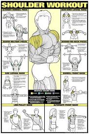 free exercise charts posters home fitness accessories