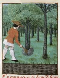 Pin On Camps Pagesos Ramaders