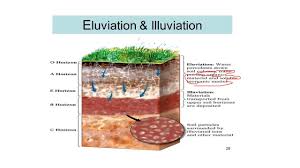 We did not find results for: Process Of Soil Formation Soil Science 1 2 Youtube