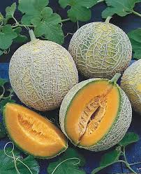 Melons