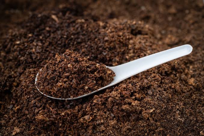 Discover How Coffee Grounds for Plants Can Boost Growth