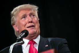 Big League Trouble: Trump Faces New Questions About His Charity Finances