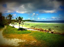 Today nauru is broke, barren and beholden to its neighbour. Why What Happens On The Little Island Of Nauru Should Matter To The Whole World Access Now