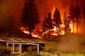 We did not find results for: Equipos De Empresa Electrica Provocarian Incendio En Eeuu Independent Espanol