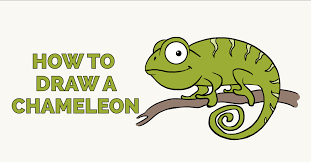 Camouflage animals drawing by lissi lyngsoe. How To Draw A Chameleon Really Easy Drawing Tutorial