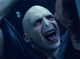 Just the Tip (@justthetipsport)