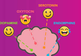 Image result for Dopamine