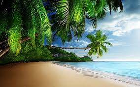 3d earth map app is using the gps map to display all locations. Hd Wallpaper Coconut Trees Near Ocean Digital Wallpaper Sea Tropical Beach Wallpaper Flare