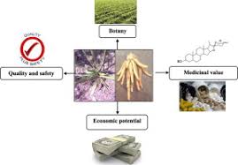 Image result for Chlorophytum gallabatense