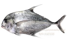 イトヒキアジ 味