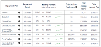 What Is Income Based Repayment A Case Study