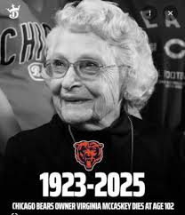 How can you not LOVE THIS?! 🐻⬇️