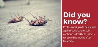 The cockroach exterminator will arrive fully equipped and ready for work by making a full inspection of your property. When To Call An Exterminator For Cockroaches Detailed Guide Pest Strategies