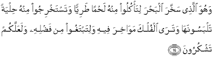 Surat dan ayat ini menjelaskan. Quran Surah An Nahl 14 Qs 16 14 In Arabic And English Translation Alquran English
