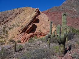 There it stands quietly towering over its desert friends, watching and waiting ever so peacefully. Visit To Quebrada De Humahuaca In Argentina Bjorn Free