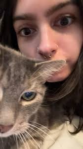 Ukrainian girl seeking roommates in Chicago