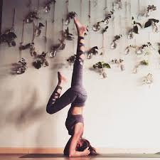 Check spelling or type a new query. Yoga Hive Campus Philly