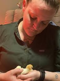 My girls will be 19 weeks old this week and no signs of eggs😔 When do they  usually start laying??? Also, can anyone help me with breeds? 3 girls (2  black, one