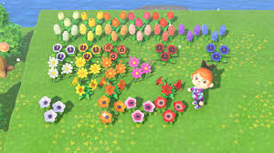 They can be planted either by players or villagers, although some special flowers only occur when specific criteria are satisfied. I M Desperate For Seeds White Lilies Any Roses And Mums If Your Shop Has Them May I Please Visit I Won T Cause Mischief I Just Want To Finish My Rainbow Animalcrossing