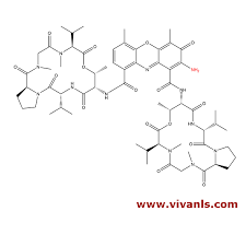 Image result for Dactinomycin