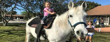 We are a full service, mobile petting zoo, also offering face painting, pony rides, and horse rides. Noah S Landing Mobile Petting Zoo