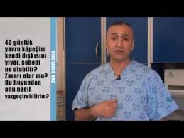 Yavru Kopeklerde Diski Yeme Problemi Youtube