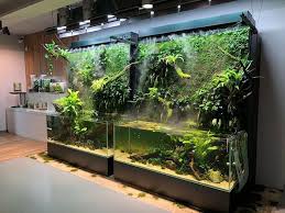 Pin By Andrew Nemo On Palyudarium Vivarium Terrarium Fish Tank Terrarium Aquarium Landscape Aquascape