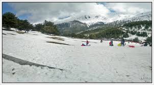 Iremos juntos en autobús desde nuestra sede de 3 olivos, en cotos nos divertiremos aprovechando un día de nieve. Nieve Y Bosques Cotos Nevado Madrid Pano 2 Img Ii Imagen Foto Tecnicas Panoramas Viajes Y Paisajes Fotos De Fotocommunity