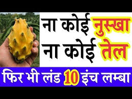 Best Gherelu Home Remedy Ayurvedic 40 By Hakim Ali Youtube Home Remedies Natural Health Remedies Men Health Tips