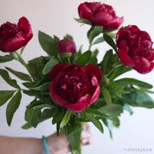 Pink peony garden wedding bouquet. Burgundy Peonies Diy Wedding Flowers Flower Moxie