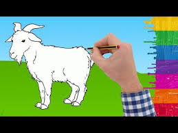 Pin On How To Draw