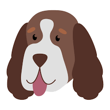 Opening at 8:00 am on monday. Home Happy Tails