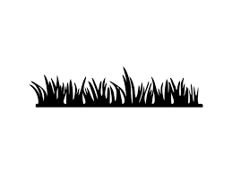 12 Year Old Black Boy Killed Mowing Lawn Pin On I Own A Small Business Group Board