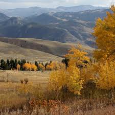 All yellowstone national park hotels yellowstone national park hotel deals by hotel type. Photo Galleries Yellowstone National Park U S National Park Service