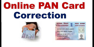 There Could Be A Number Of Mistakes That Might Occur While Applying For The Pan Card Online If You Are Looking Out For The Ways To Co Cards Online Online Work