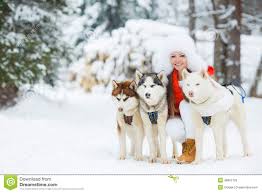 Want to discover art related to schlittenhunde? Portrat Einer Schonheit Mit Einem Sibirischen Husky Stockbild Bild Von Sibirischen Husky 48807729