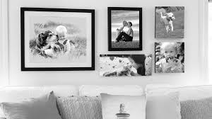Removing background of a picture is super easy now! Https Helpx Adobe Com Pdf Photoshop Elements Reference Pdf