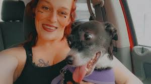 Long-legged hedgehodge got some karma