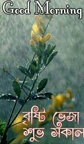 7 Good Night Ideas Good Night Good Night Wishes Night Wishes See more of shuvo ratri on facebook. pinterest