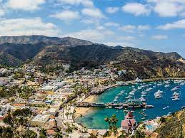 Summer fishing at catalina island can bring a lot of excitement for the day. 4 Night Catalina Ensenada Cruise Royal Caribbean Cruises