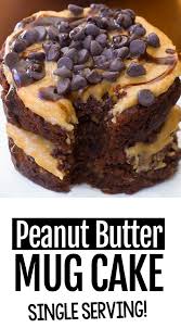 Vegan Chocolate Peanut Butter Cake In A Mug Protein Mug Cakes Peanut Butter Mug Cakes Mug Cake Healthy